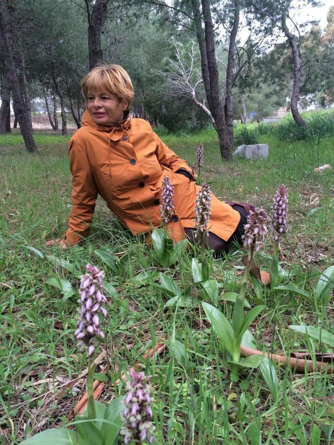 Orchidea Mattinata Parco Del Gargano Apartment Ngoại thất bức ảnh