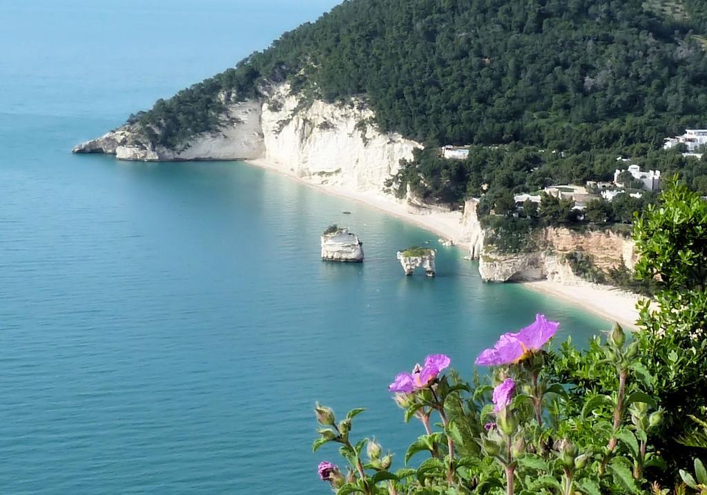 Orchidea Mattinata Parco Del Gargano Apartment Ngoại thất bức ảnh